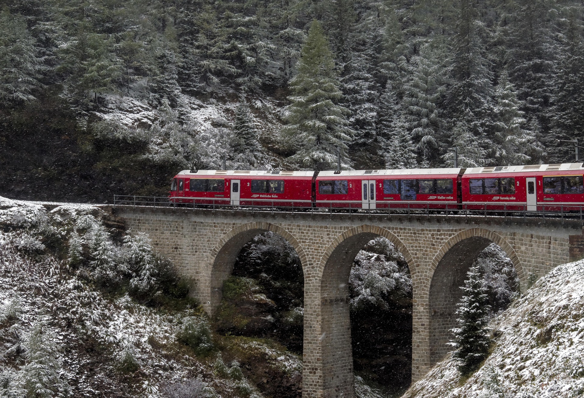 Bernina in treno e in carrozza trainata da cavalli, magia d’inverno!