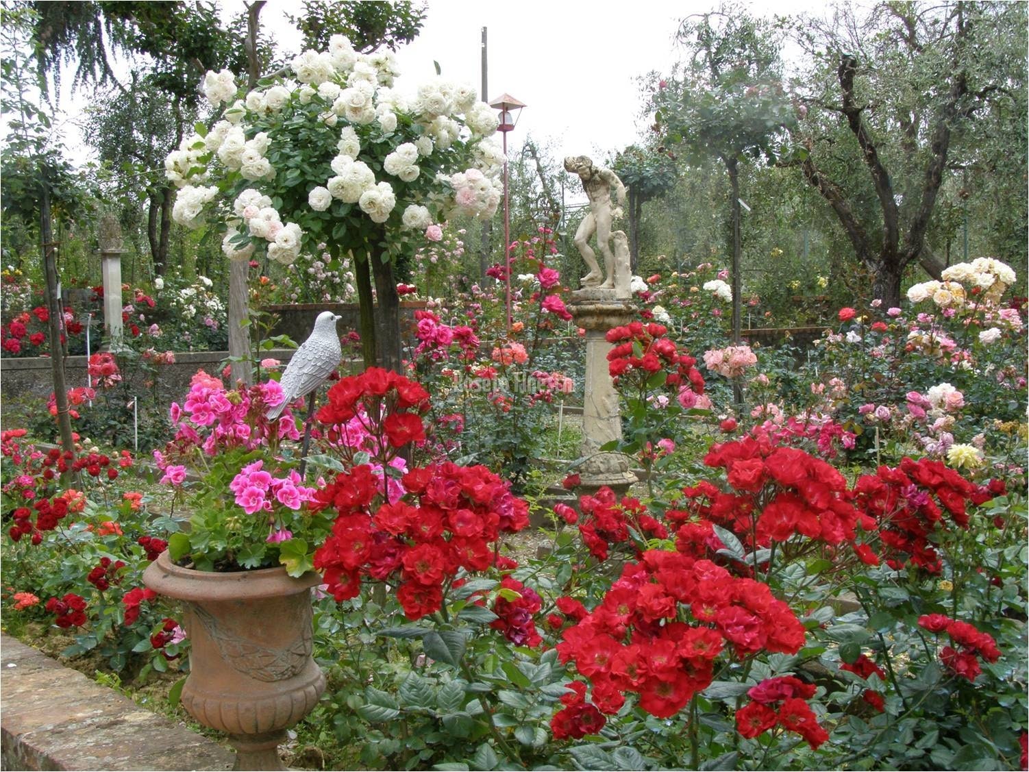 Arezzo e il Roseto Fineschi
