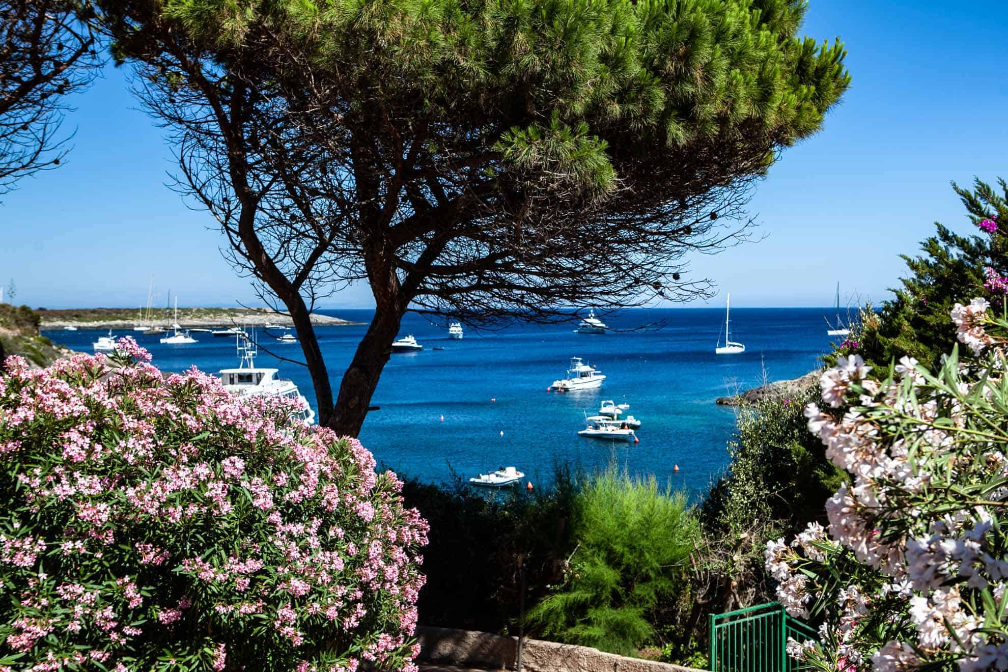 Maremma in carrozza e minicrociera nell’Arcipelago Toscano
